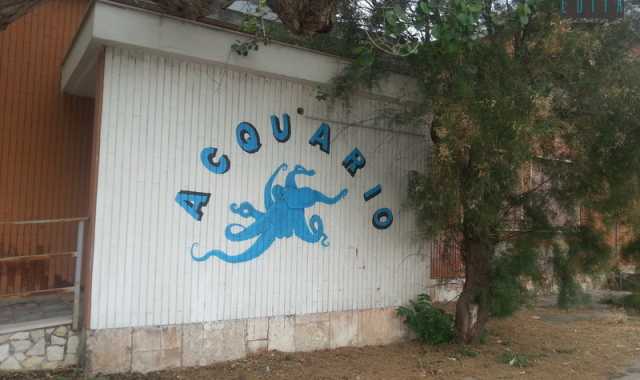 Bari, al Porto riapre ''l'acquario'': visite gratuite tutti i giorni 