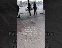 I video di Barinedita